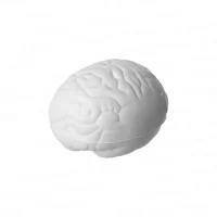 Cerebro Antiestrés Largo